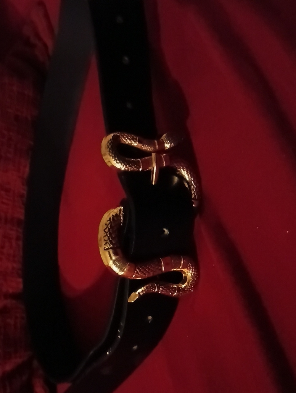 Black Belt with Gold Snake Buckle